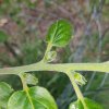 20170517_162119.jpg