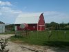 IMG00102-20100716-1042.jpg
