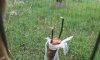20170521_154156.jpg