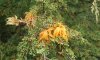20170521_160909.jpg