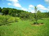 DSCN0368.JPG