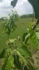 20170527_123249.jpg