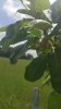 20170527_123420.jpg