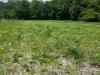 20170603_133555.jpg