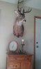20170603_175345.jpg