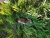 20170603_073809.jpg