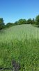 20170531_095756.jpg