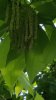 20170608_111411.jpg