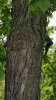 20170608_111423.jpg