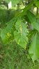 20170608_111558.jpg