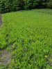 20170604_163427.jpg