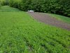 20170604_163530.jpg