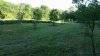20170610_182447_resized_1.jpg
