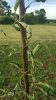 20170614_190941.jpg