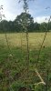 20170614_190930.jpg