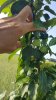 20170612_074439.jpg