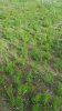 20170619_180200.jpg 20170619_180200.jpg