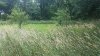 20170625_134123.jpg