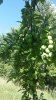 20170625_173750.jpg