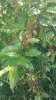 20170703_093916.jpg