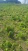 20170703_093713.jpg