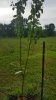 20170705_143933.jpg