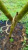 20170705_143925.jpg