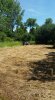 Food plot 12.jpg