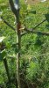 20170710_082323.jpg