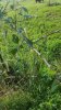 20170710_082334.jpg
