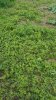 20170712_155751.jpg