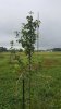 20170713_082757.jpg