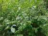 20170715_134834.jpg