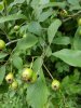 20170715_135023.jpg