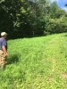 food plot.jpeg