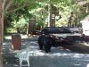 BIG V bear vids 004.JPG