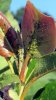 20170731_081454.jpg