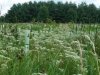 20170802_132257.jpg