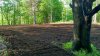 MG_5-27-17.jpeg MG_5-27-17.jpeg