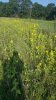 20170829_084335.jpg