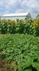 20170810_115544.jpg