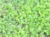 DSC00350.JPG