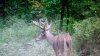 IMG_20170830_153119064.jpg