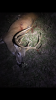 IMG_5211.PNG IMG_5211.PNG
