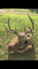 IMG_5213.PNG IMG_5213.PNG