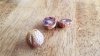 20170910_114754.jpg