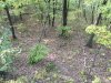 IMG_0382.JPG
