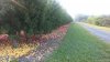 20170916_090913.jpg