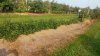 20170916_094109.jpg