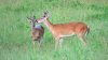 6 Pt & Mom.jpg